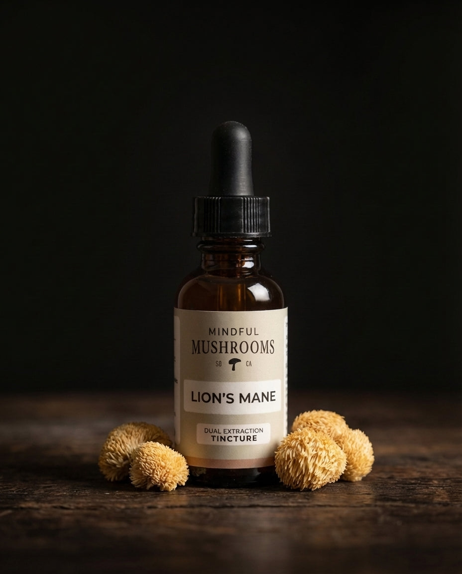 Lion's Mane Tincture