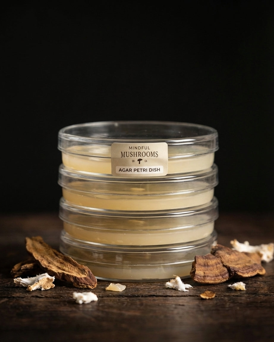 Agar Petri Dish 10 Pack