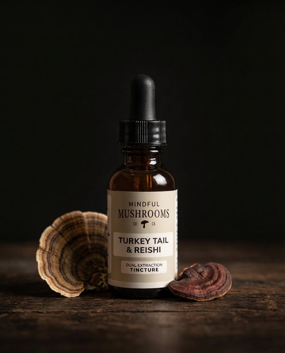 Turkey Tail + Reishi Tincture